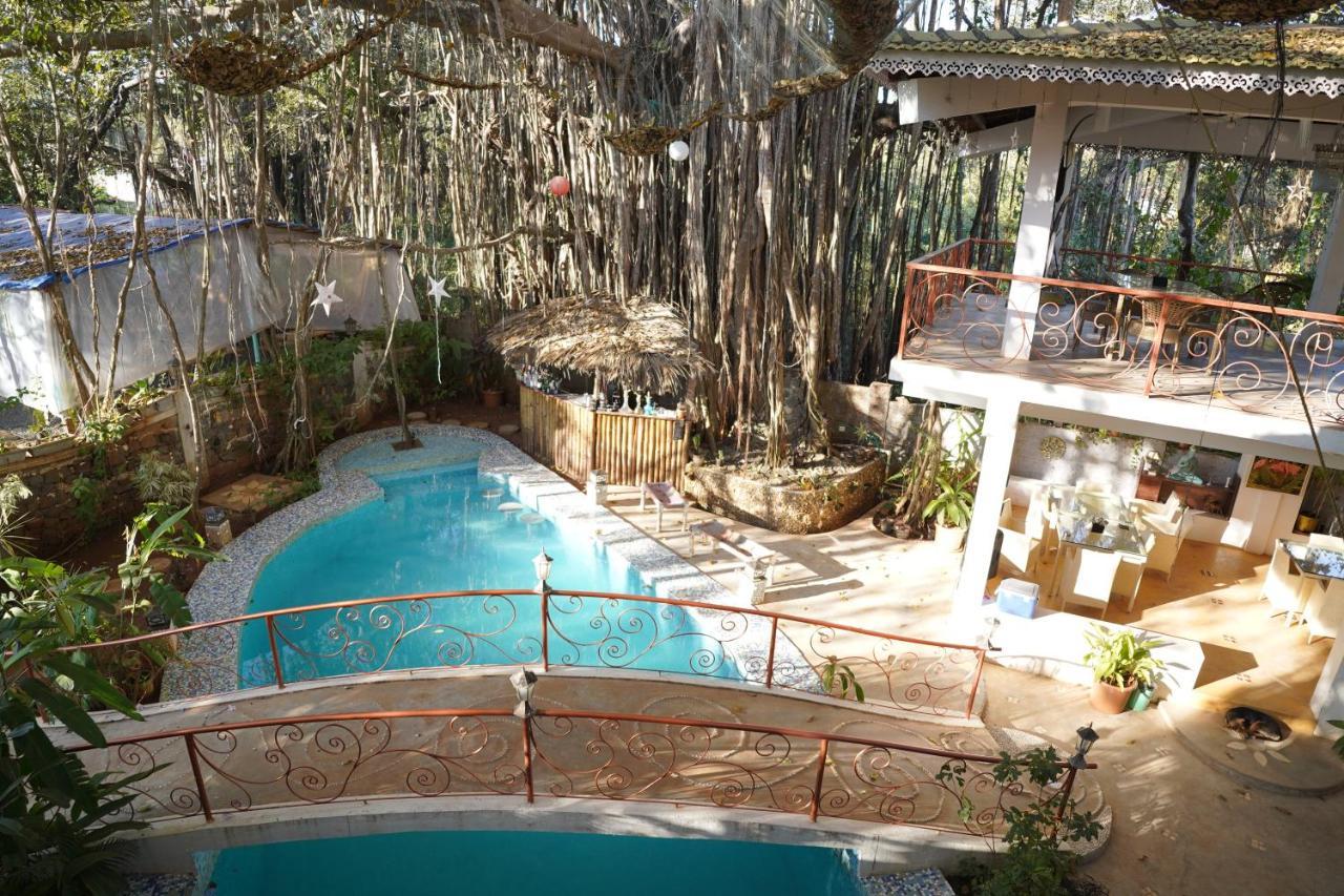 Singing Tree By Nirvana Hotels Vagator Exterior foto